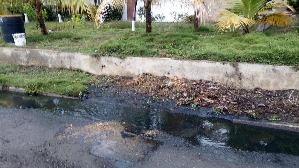 YudithCastillo8's tweet photo. Gobernación de Anzoátegui,,así está de cloacas urb El Moriche Brisas del Mar es una emergencia.. https://t.co/c9WGIeiz21