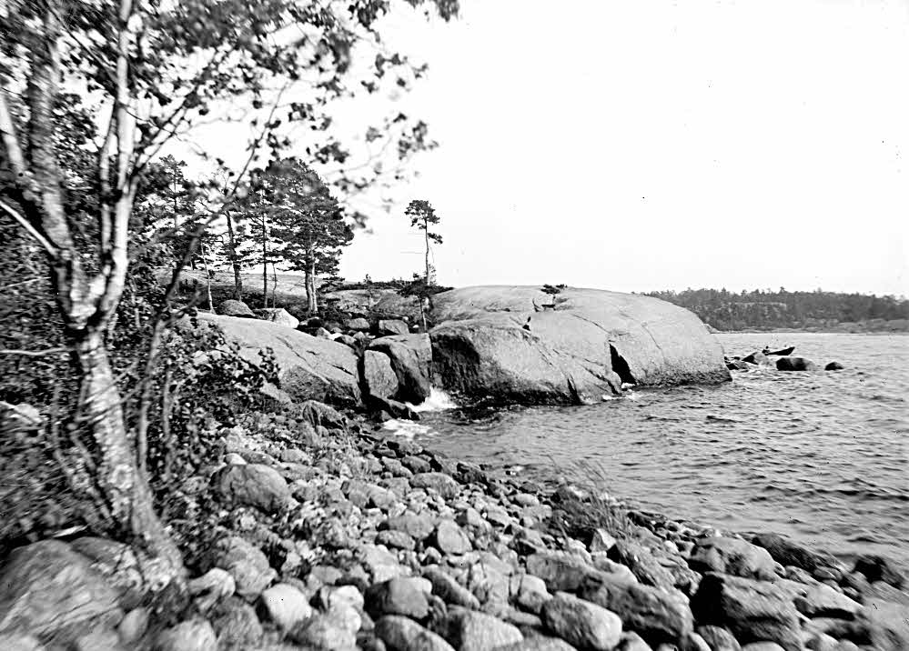 GeoPhotoBot tweet media