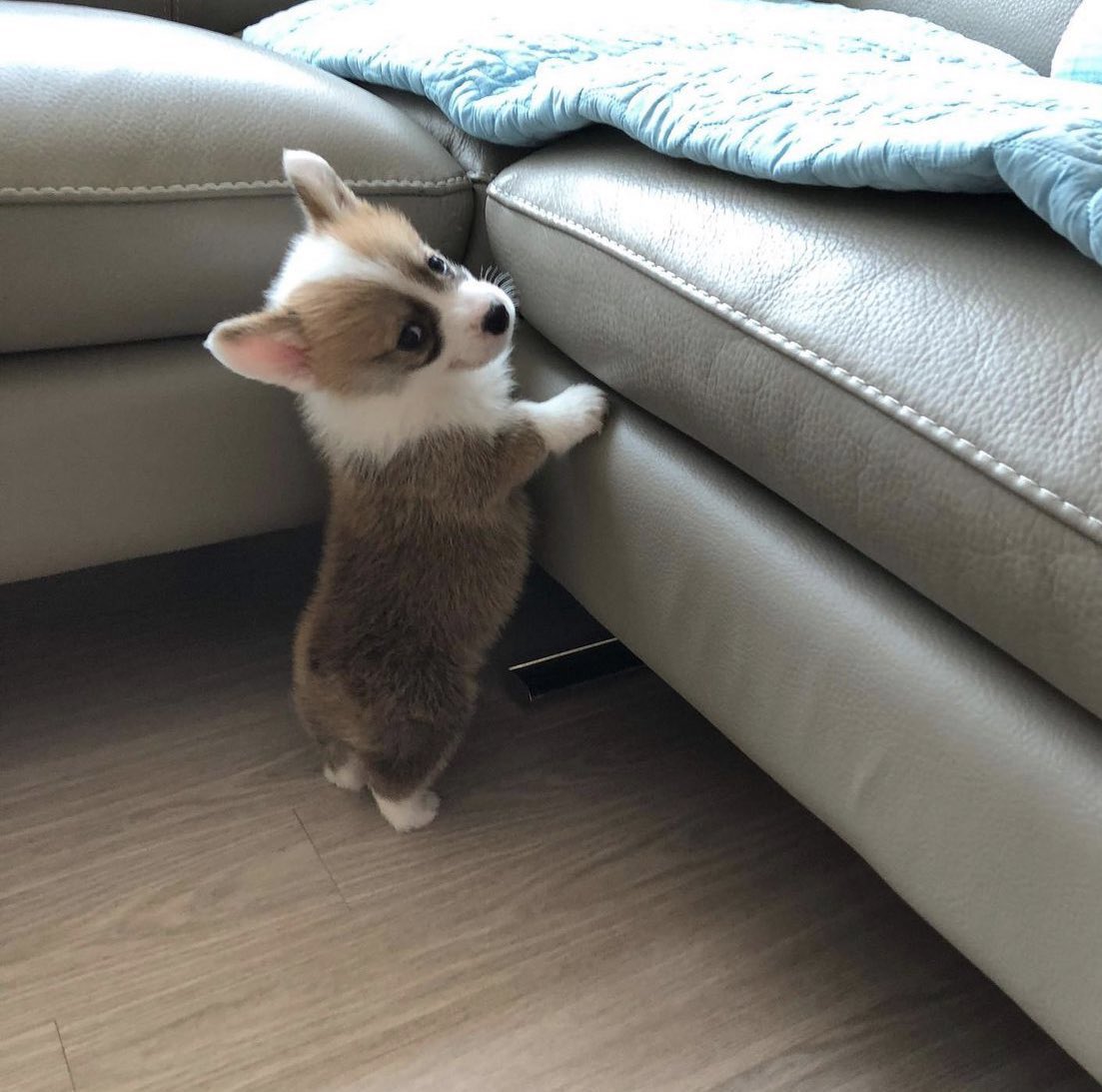 PAVGOD's tweet photo. a lil boost please https://t.co/bwblXwQ2aU