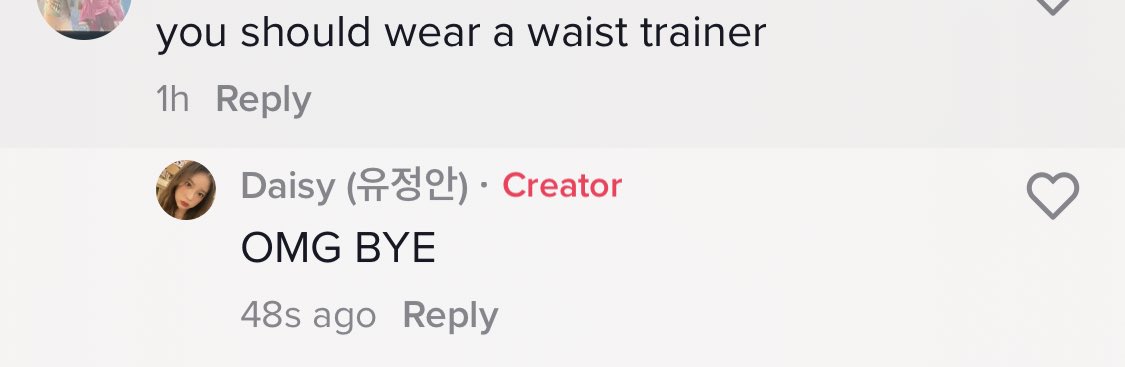 _daisiesforyu's tweet photo. my mom did not pop me out shaped like an iphone 11 pro to be reading these comments https://t.co/HoNb4PINHK