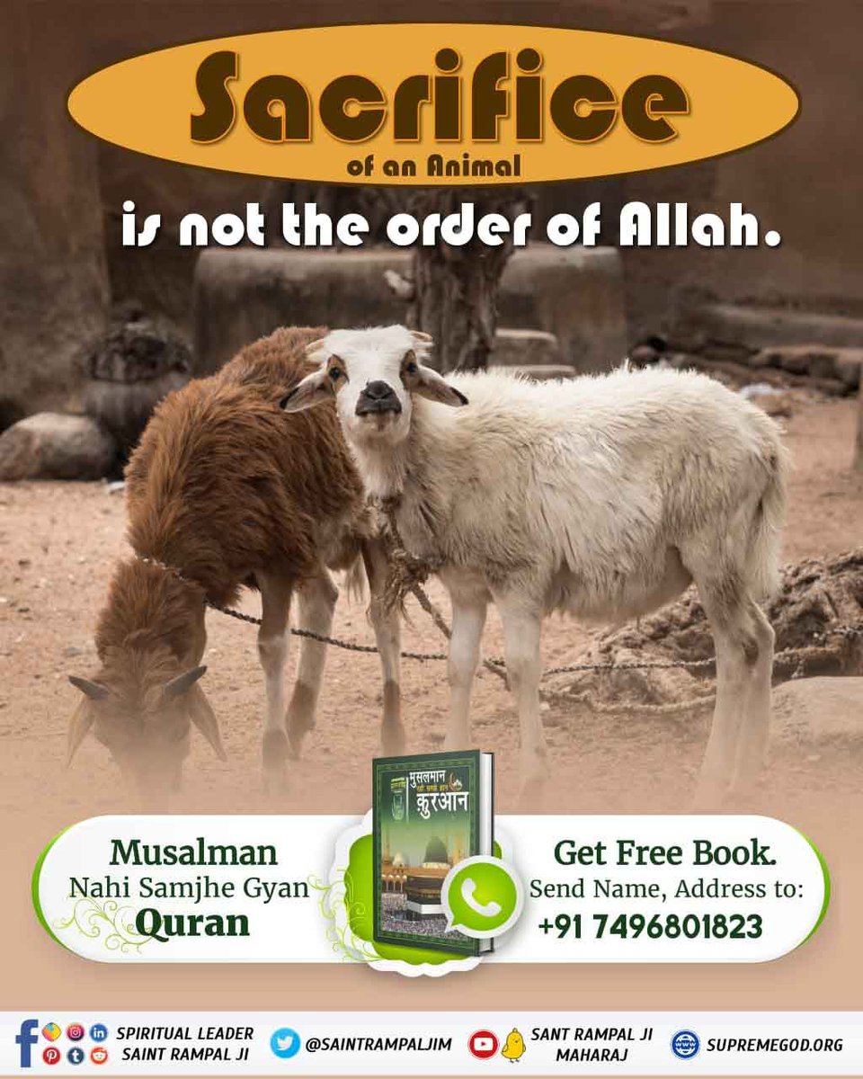 #बकरा_न_काटो
For Allah all the souls are equal. He cannot permit the killing of one living being for another. Then how can we attain Allah with this? The same is being mentioned in verses of the Holy Bible. ( Holy Bible, Genesis 1:26-1:29)
Watch 💫Sadhna TV 7.30pm