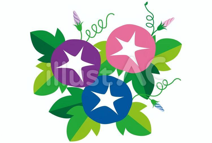 朝顔イラストのtwitterイラスト検索結果