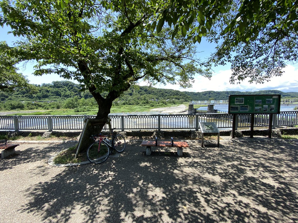 自転車、10年ものにしては綺麗に維持できていると思う。(そもそもたいして乗れてない)