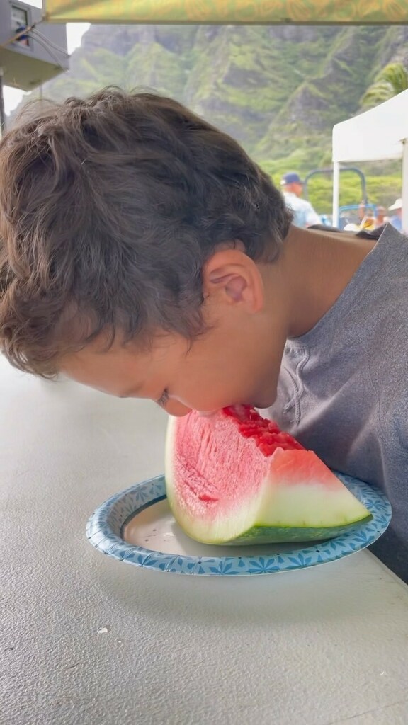FarmFair's tweet photo. Now it’s the keikis turn to compete in our #watermelon eating contest! 🍉 Mahalo to all those who competed! #hawaiistatefarmfair https://t.co/x2v2u40raQ https://t.co/zCSwyfiwpz