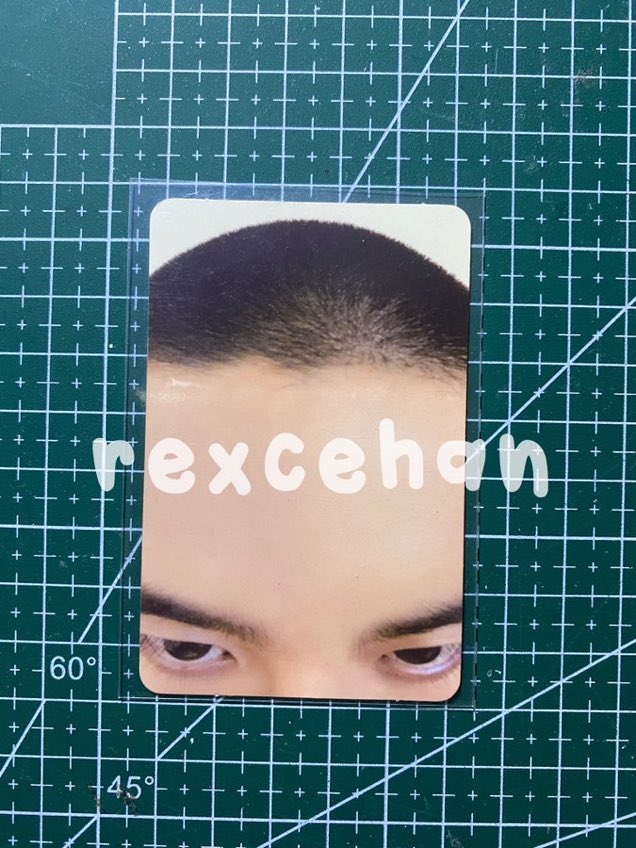 rexcehan tweet picture