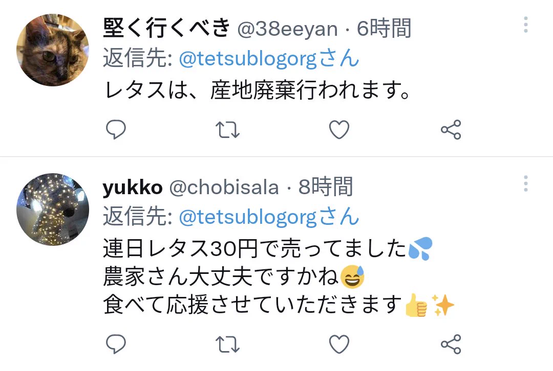 農家さんのためにお願いします！レタスを食べてーーーー！！
