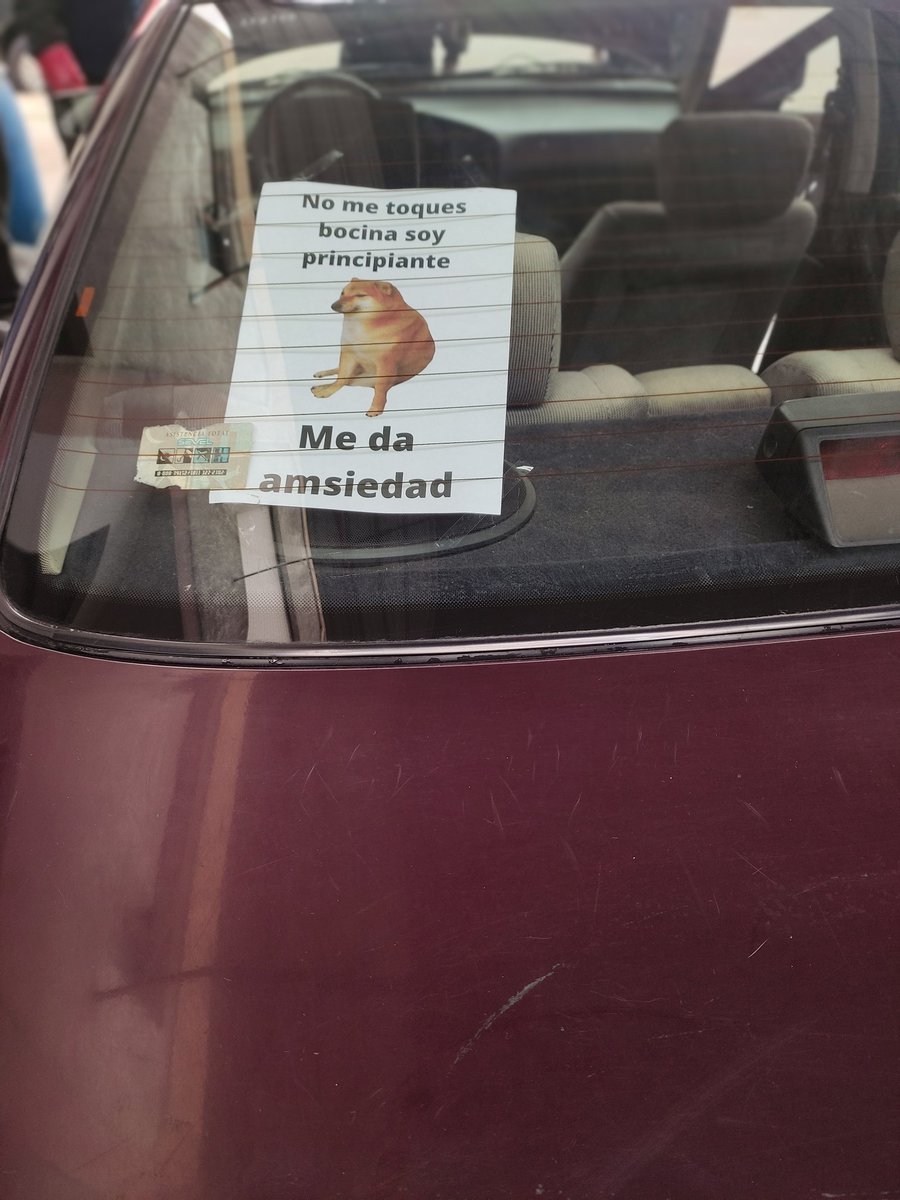 Cuervo (@cuervo_the_boss) on Twitter photo 