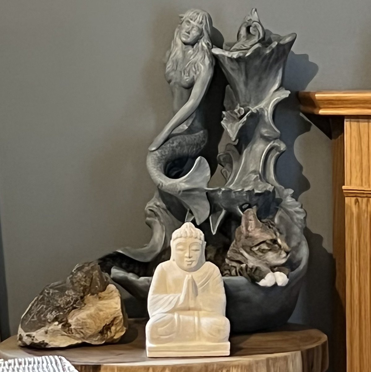 3rdStoneStudios's tweet photo. Happy Caturday from baby Tigress 🐯 #kittens #CatsOfTwitter #ZenKitty #IfItFitsISits #Caturday https://t.co/Vt1UzhqEIa