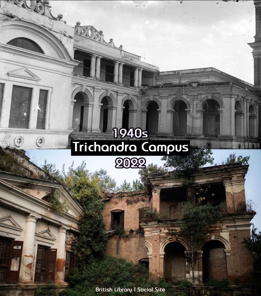 OldphotoofNEPAL's tweet photo. हिजो र आजको त्रिचन्द्र क्याम्पस । 
Trichandra Campus before and now...
#trichandra #Nepal #kathmandu @PMuseumNepal [ @photomuseumNepal ] https://t.co/jjFKzmOXh3