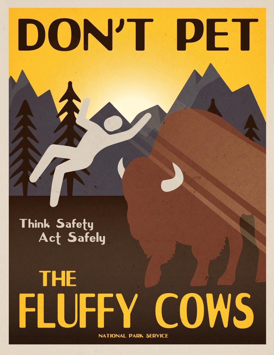 Repeat after me: I will not pet the fluffy cows.