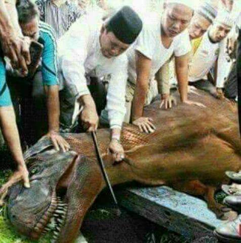 jstadm13's tweet photo. meme lama tapi masih mengakak😂
Sapi https://t.co/PRsHf8s72j