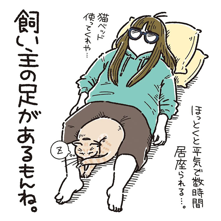 猫用ベッドで眠らない猫 理由が『猫飼いあるある』だった https://t.co/RmPCWaIWRL @grapeejpより 