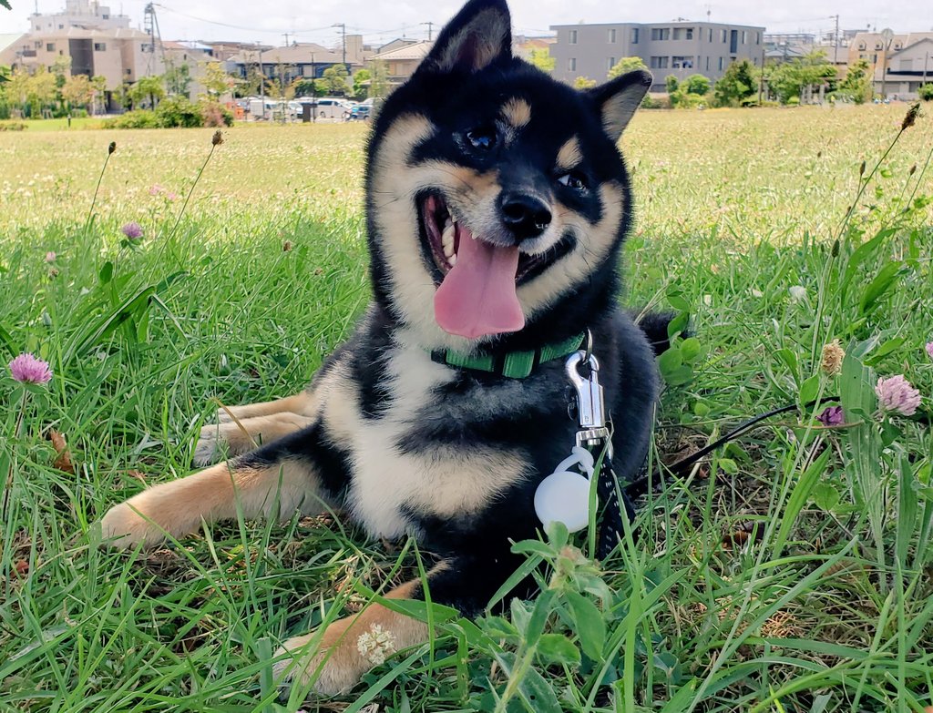 初めてのお泊まり Twitter Search Twitter