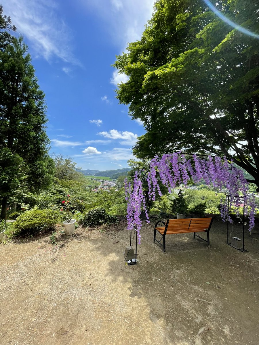 44RiderJ's tweet photo. 到着！
お昼寝
いいね👍
＃若草稲荷神社 https://t.co/XY4eJaNv4L