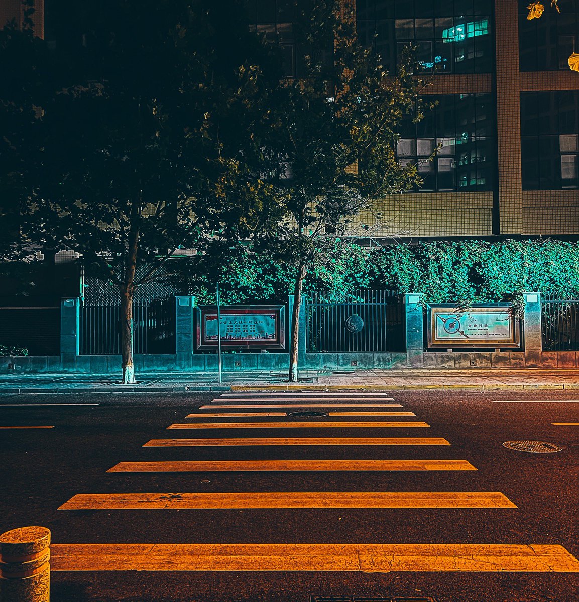 kiki (@cfq525) on Twitter photo 