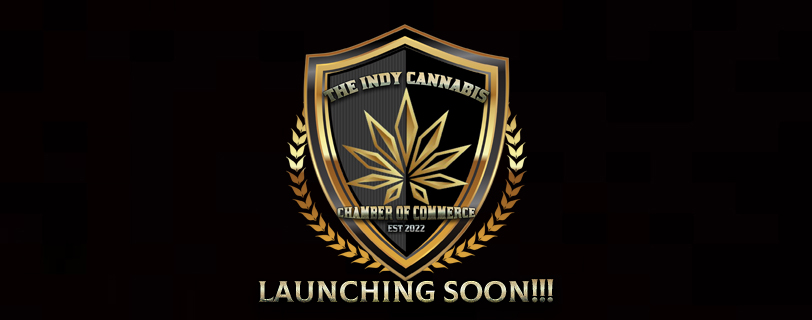 IndyCommerce's tweet photo. The Indy Cannabis Chamber of Commerce Will Be Launching Soon!! Stay tuned in to our social media pages and to our website for more details. 
#legalize #indy #indiana #indianapolis
#chamberofcommerce #comingsoon https://t.co/V9O5rrCjn6