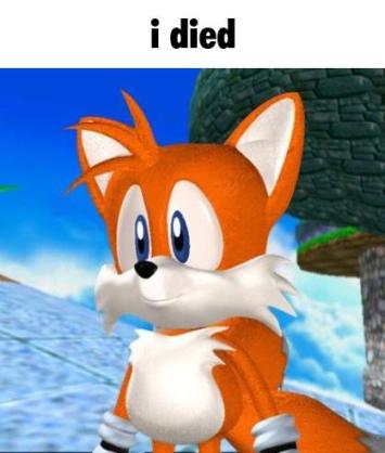 Tails with captions (@tailscaptions) on Twitter photo 