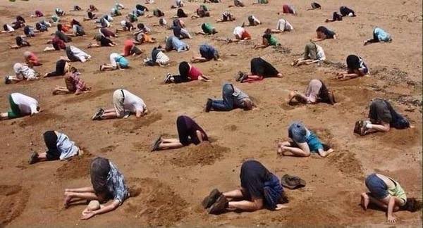 halkekmekk's tweet photo. @selingirit O sırada Türk halkı https://t.co/JtbUXqm9PJ