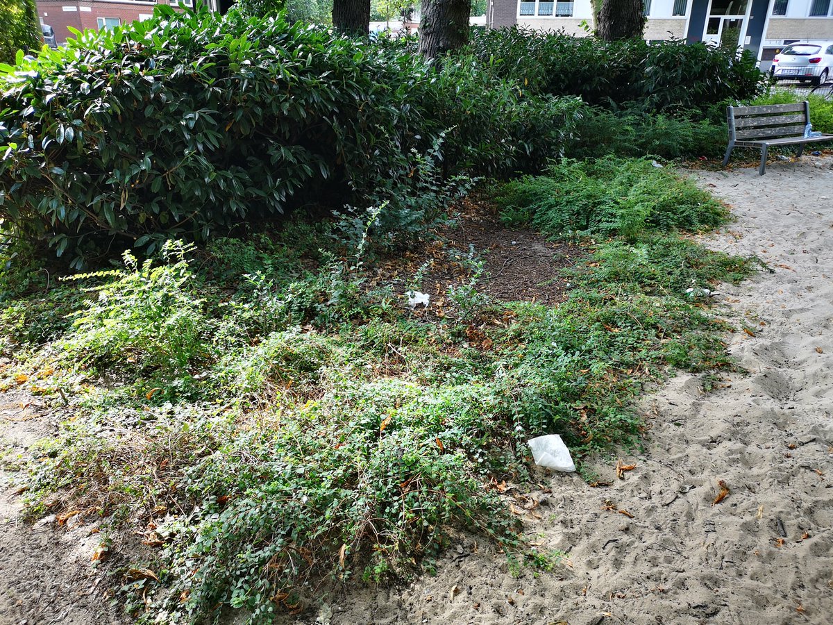 davidjpierre's tweet photo. Beste @districtberchem het loopt helaas tegenwoordig de spuigaten uit in het Hof Van Nauwelaerts .

Kunnen jullie mee oogje in het zeil houden naar kinderen/jongeren toe die het daar te bont maken + de Antwerpse straatvegers vaker langsturen? https://t.co/WMZ1Plitxz