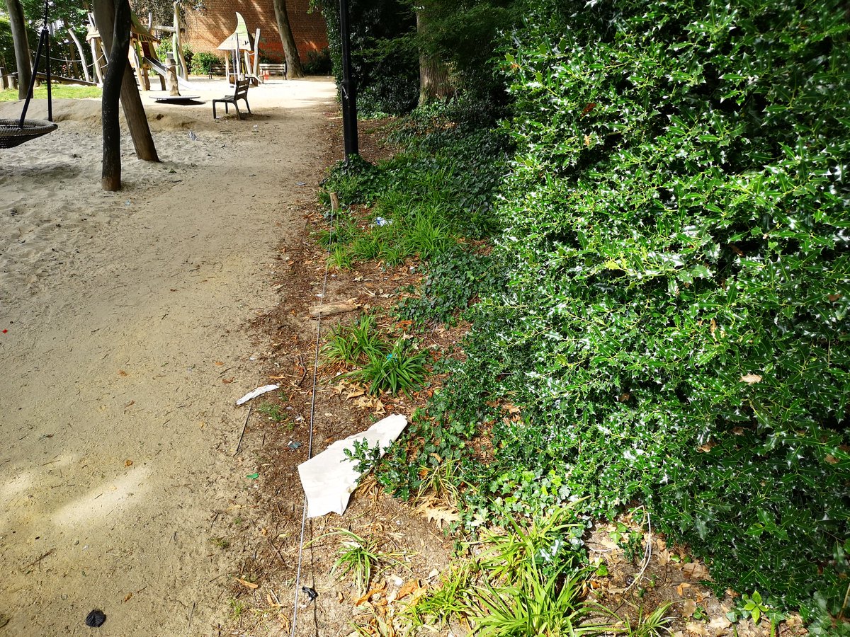davidjpierre's tweet photo. Beste @districtberchem het loopt helaas tegenwoordig de spuigaten uit in het Hof Van Nauwelaerts .

Kunnen jullie mee oogje in het zeil houden naar kinderen/jongeren toe die het daar te bont maken + de Antwerpse straatvegers vaker langsturen? https://t.co/WMZ1Plitxz
