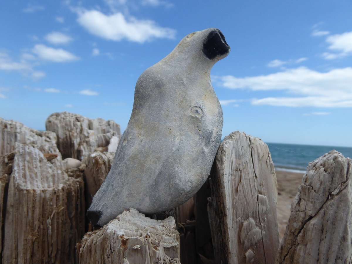 Is it a plane? Is it a bird? No its a flint fossil burrow infill.