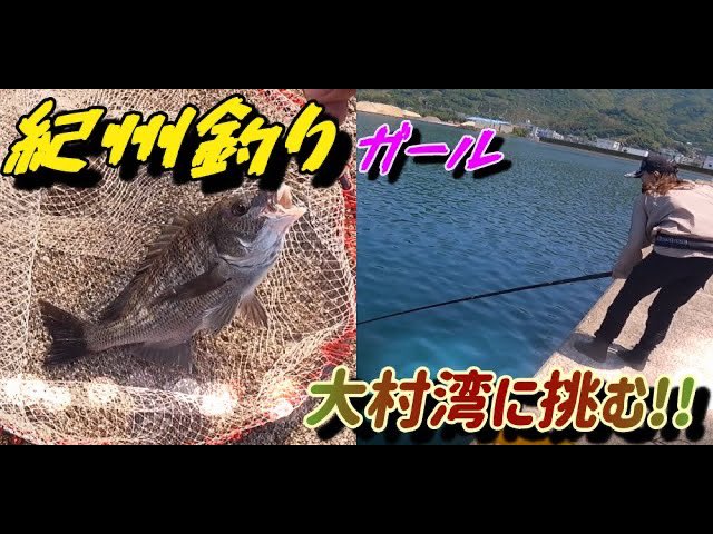 永易流紀州釣り Twitter Search Twitter