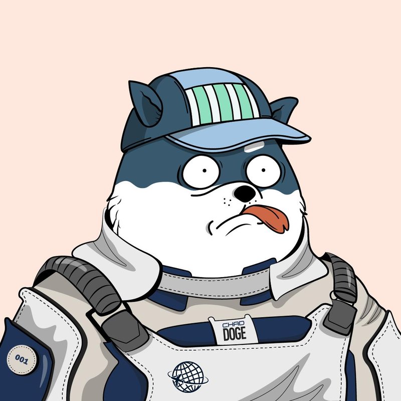 Chad Doge Pilots tweet media