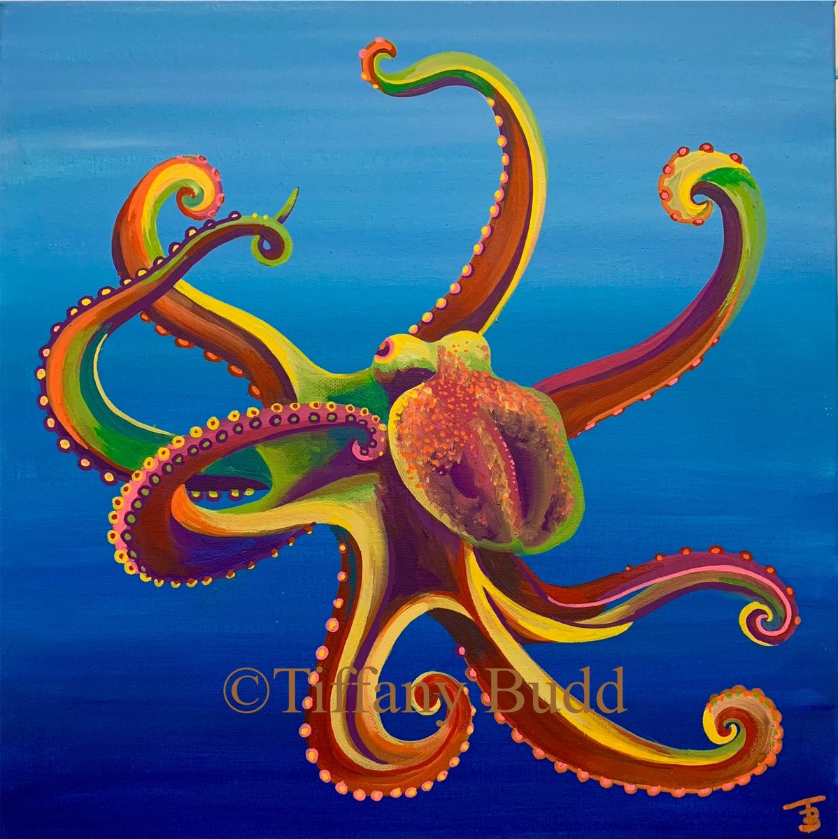 In the meantime, before I get going with the jellyfish and a landscape commission, here’s Ollie the Octopus! tiffanybudd.bigcartel.com/product/ollie-… <a href="/UKGiftHour/">UKGiftAM</a> #shopindie #ukgiftam #ukgifthour #mhhsbd #earlybiz #smartsocial #queenof #octopus