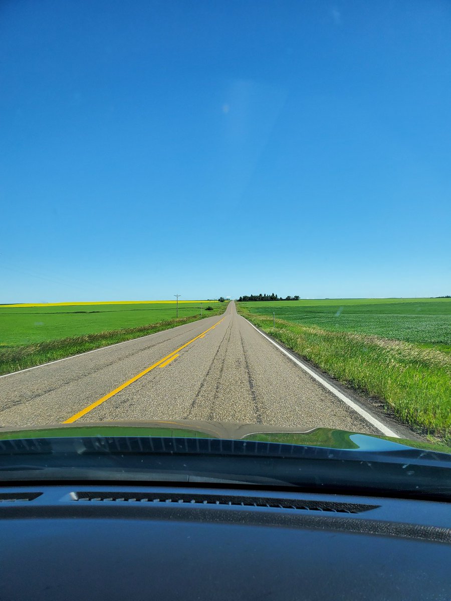 Ojaswe Co. tweet media