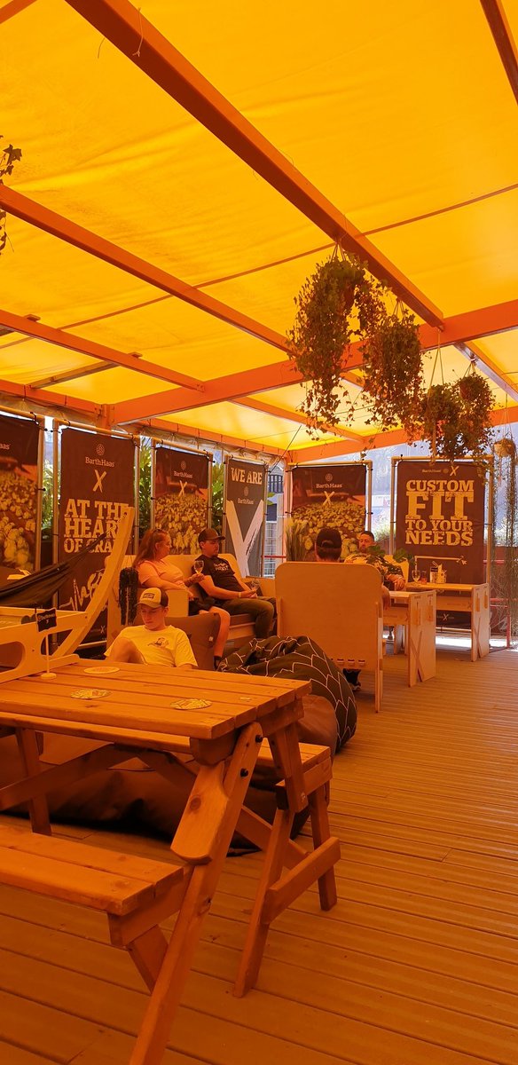 Sonja Mitchell tweet media