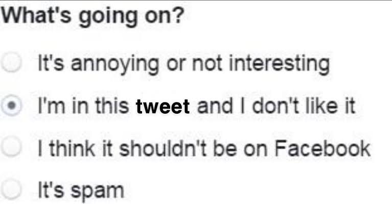 Jack Magann (@magannjack) on Twitter photo 