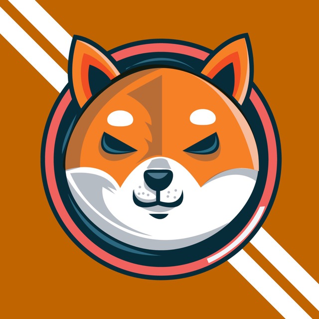 pika_gamble's tweet photo. Name and logo looks quite hyped
They are in a dip now 
If dev fullfill his promises that it will give us some good X's 

Current MC - 1.7K
https://t.co/E14JklBzgJ

Tg - https://t.co/yqNKf8pL2R

Twitter - @ShibaReloaded

#NFA #DYOR https://t.co/Il6AyifTaG