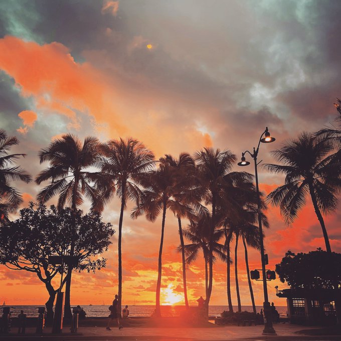 Bigmahalohonoluluのtwitterイラスト検索結果