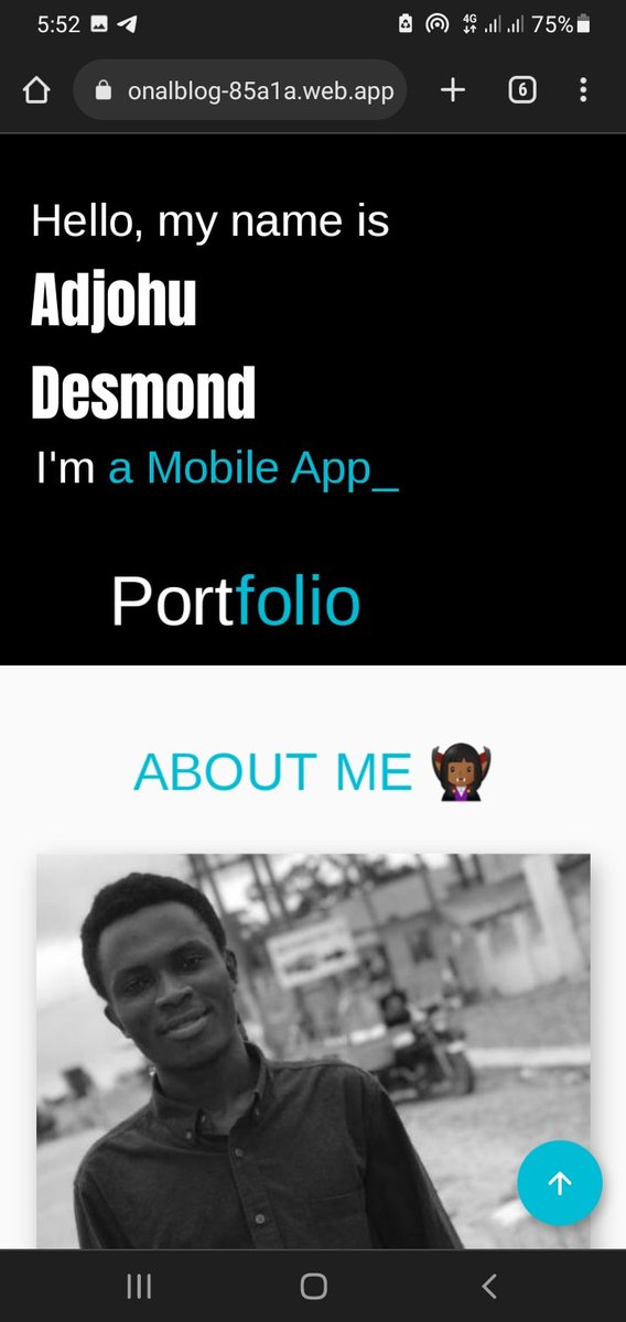 desmond_adjohu's tweet image. Worked on my portfolio website last night.
@vandadnp @acromondx @Freaking_Colin @favour_onwochei @danlampl @FlutterDev
#flutter #dart #pubdev