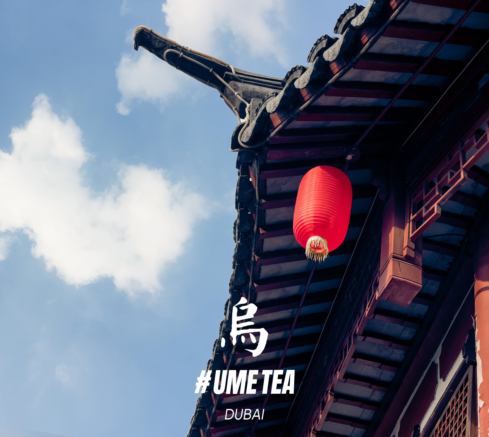 UME TEA on Twitter "https//t.co/Hq4q1vjuNJ" / Twitter