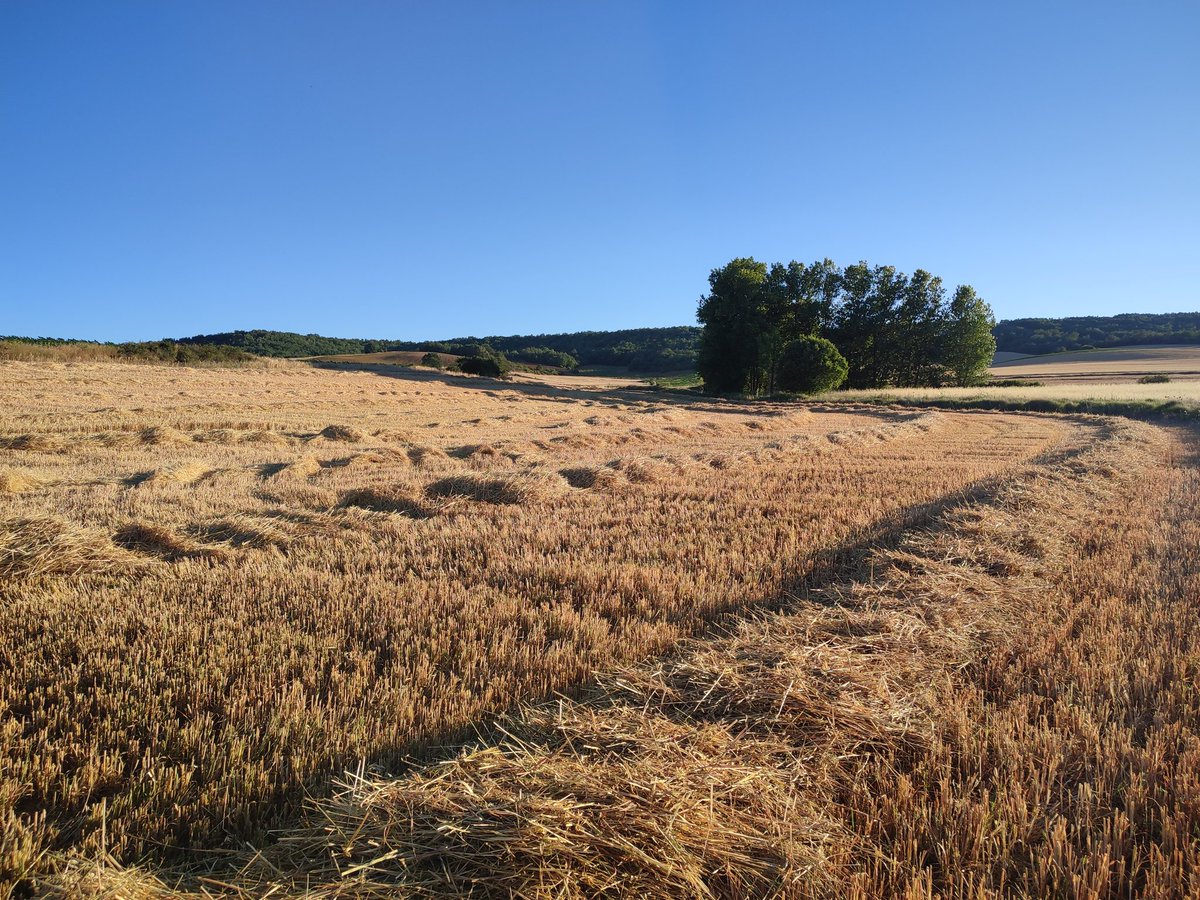 Ya calienta fuerte!!!!, Buenos dias desde el valle Boedo-valdavia.