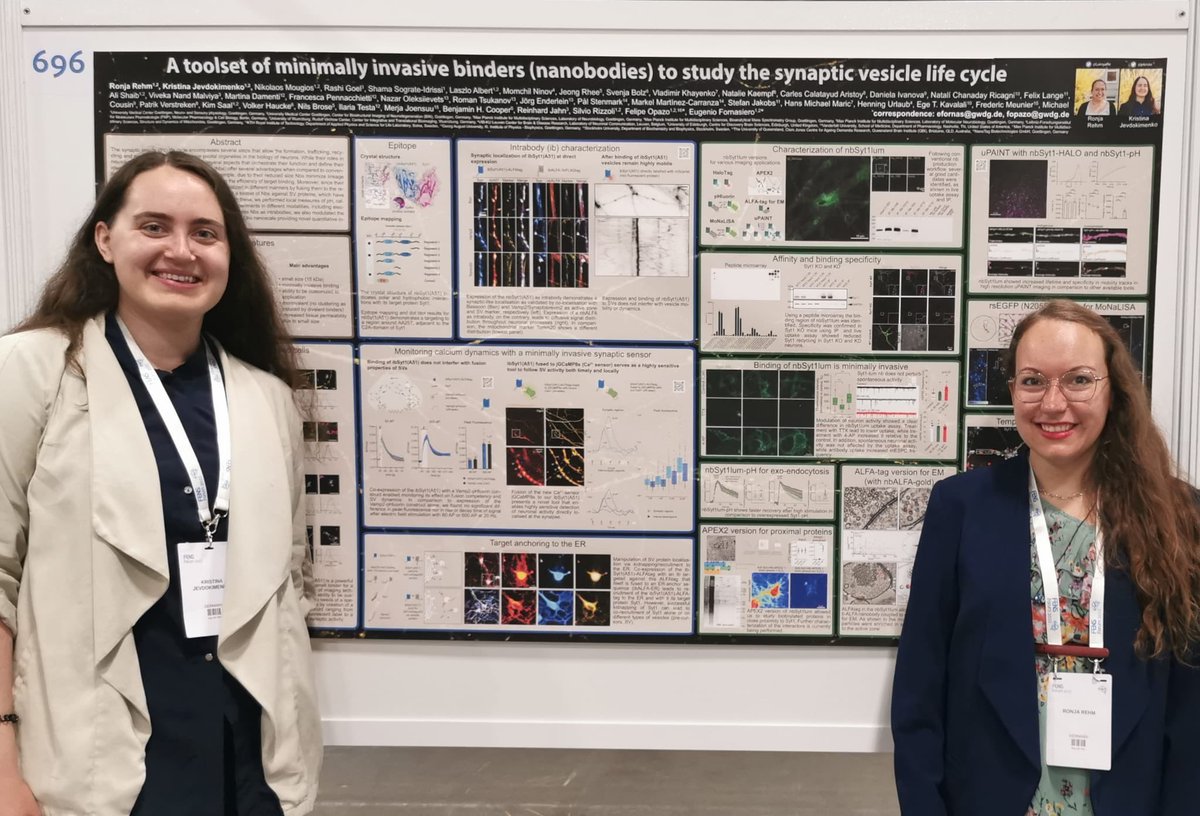 jekriste's tweet photo. We’re thrilled to present a very collaborative work about nanobodies today at morning poster session poster number 696! We’re waiting for you from 11:30-13:00. #FENS2022 https://t.co/w4EhRTB9aD