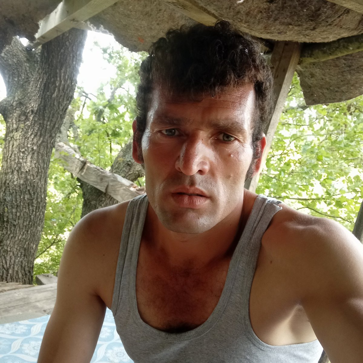 Elmaz Nezeri tweet media