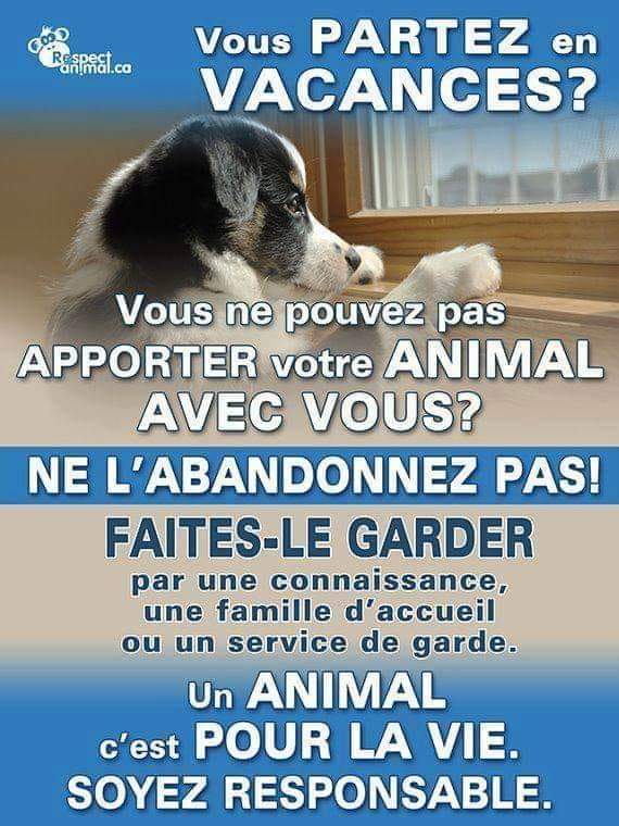 KristelBERINGER's tweet image. A RETWITTER !!