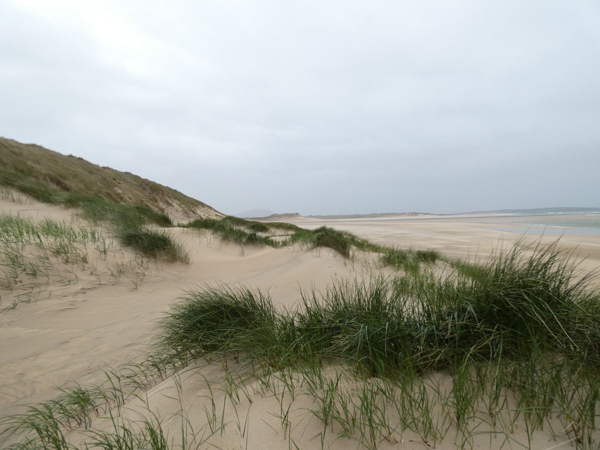 inishview's tweet photo. Walking along Drumnatinny Beach in Falcarragh
https://t.co/o9gGnAHCFV
#donegal #wildatlanticway #LoveDonegal #KeepDiscovering #visitdonegal #DúnnanGall #bestofnorthwest #LoveThisPlace #visitireland #discoverdonegal #discoverireland #keepdiscoveringdonegal https://t.co/9vVak37gJY