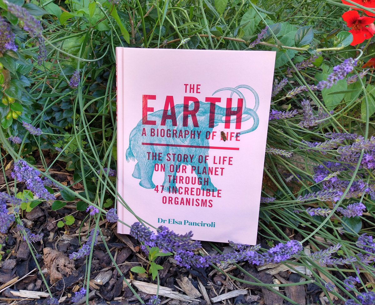 📚 BOOK GIVEAWAY! 📚 Win this bee-approved copy of my latest book, 'The Earth: A Biography of Life' 🌏☺️ To enter: 1. retweet this post, 2. tag a friend, and 3. reply to tell me which of Earth's organisms you think is the most incredible! Winner picked at random next weekend.
