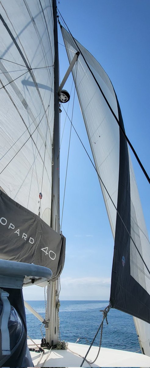 multihullmgr's tweet photo. Sea trial with a Leopard 40
#leopard40 #leopardcatamarans #multihull https://t.co/3tVpFSefwN
