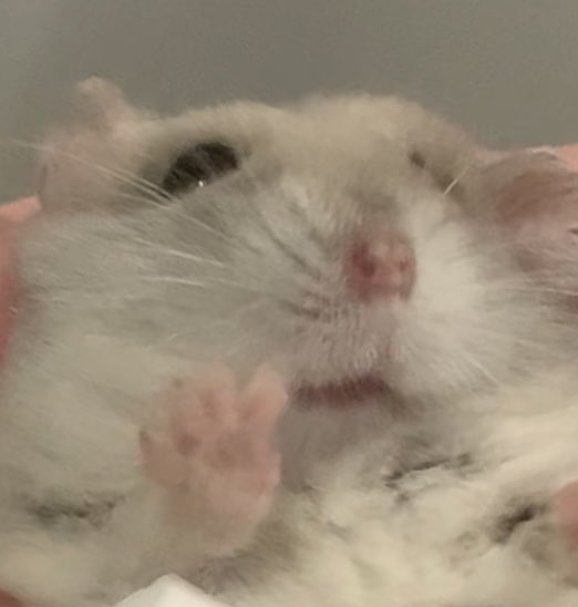 biscuitandbippo's tweet photo. He was asked how many times he cried today https://t.co/kOKct7m5Wz