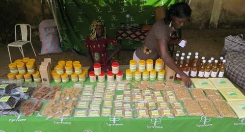 JacquesNdav's tweet photo. Deux approches pour soutenir l'entrepreneuriat en Afrique :
- Financer les projets pour sortir le peuple de la pauvreté ;
- Financer les projets pour créer de la valeur au standard international.
@KaziPADMPME @PaeRdcongo @cres_science #RDCongo #Diaspora https://t.co/ReSLf03KNx