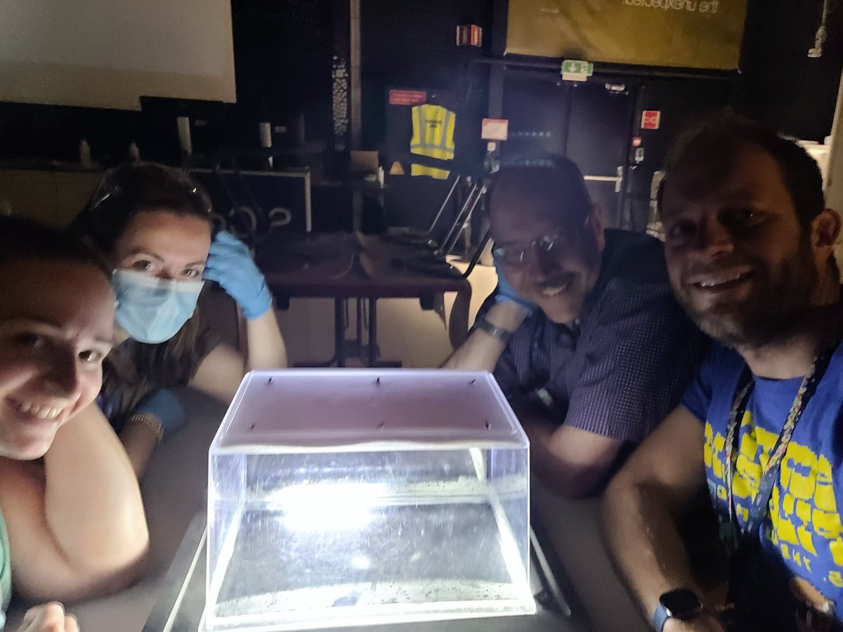 Dr Grant Pusey tweet media