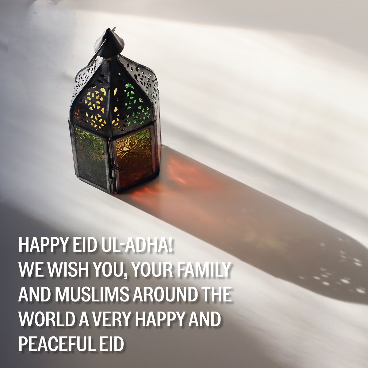 AliSheramroha's tweet photo. The festival of #EidAlAdha gives us this message that we should not be afraid of trials.The more a person destroys himself in the path of Allah,the more successful he becomes.We should become obedient servants of Allah and obedient to our parents.
#عيد_الأضحى 
#عيد_الأضحى_المبارك https://t.co/Ba7p8RWiib