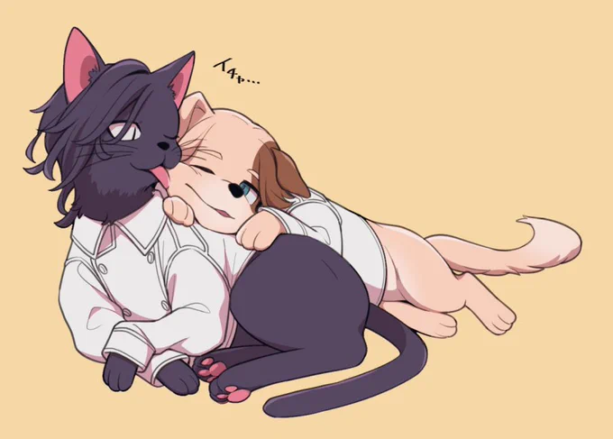 ⚠️ケモ化🐾 