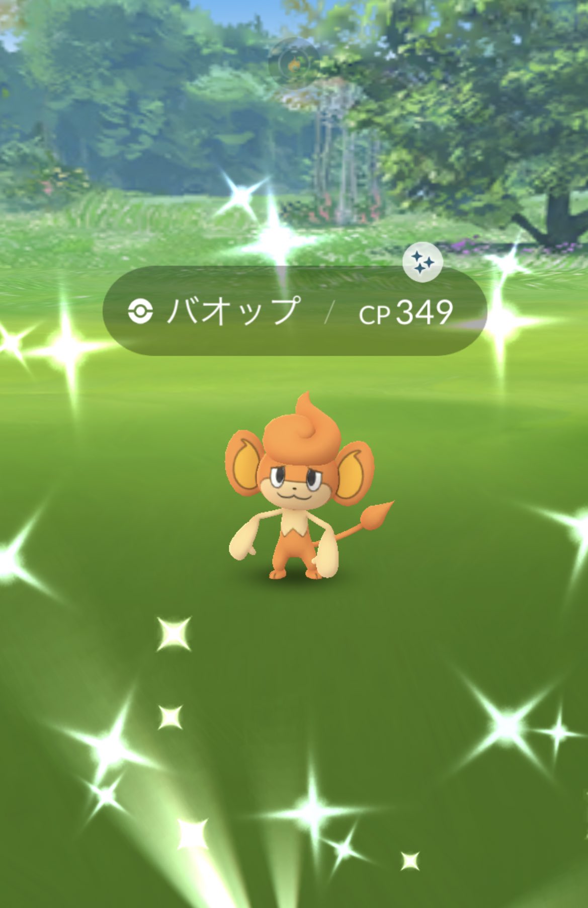 𝑅 ポケモンgo バオップ 色違い T Co Xdjl3s42io Twitter 𝑅 ポケモンgo バオップ 色違い T Co Xdjl3s42io Twitter