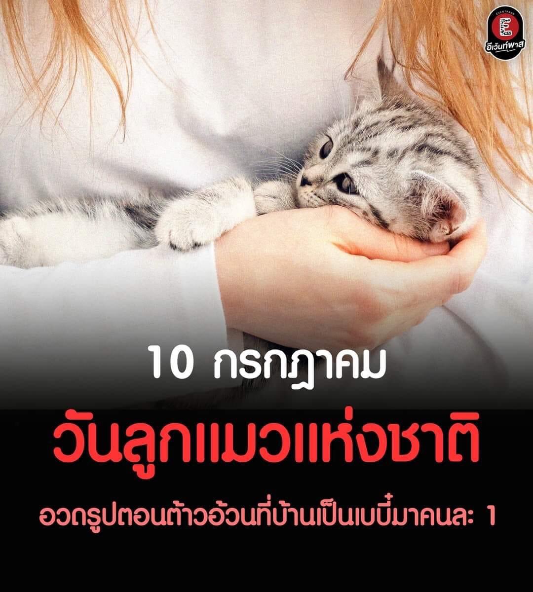 izejakk's tweet image. มาอวดเเมวกัน ตอนนี้น้องได้ฉองขวบแล้วฮับ