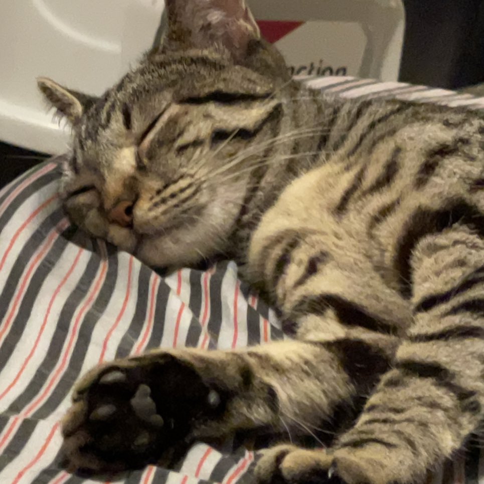 live   blaze   reaction